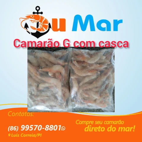 Camarão de alto mar