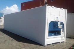 Container Refrigerado 6 e 12 metros Reefer Frigorifico