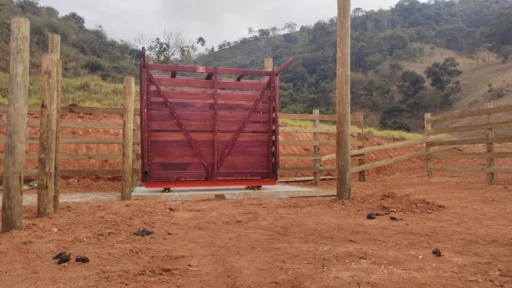 Balança Eletrônica