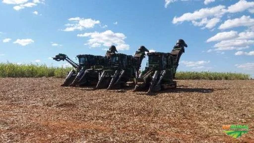 Frente agricola de corte mecanizado de cana de açucar