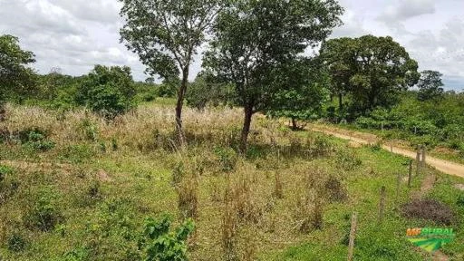 Fazenda em Baianópolis