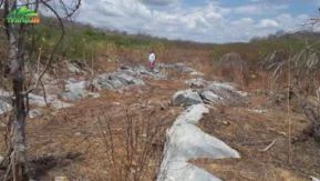 Ocorrência de Calcário Calcítico - Sul do Ceará