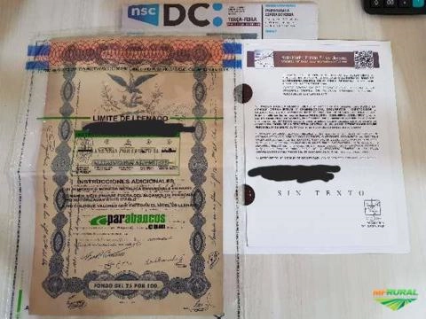 Black eagle Aguia negra Patricia Blanco Imagem Black eagle Aguia negra Patricia Blanco