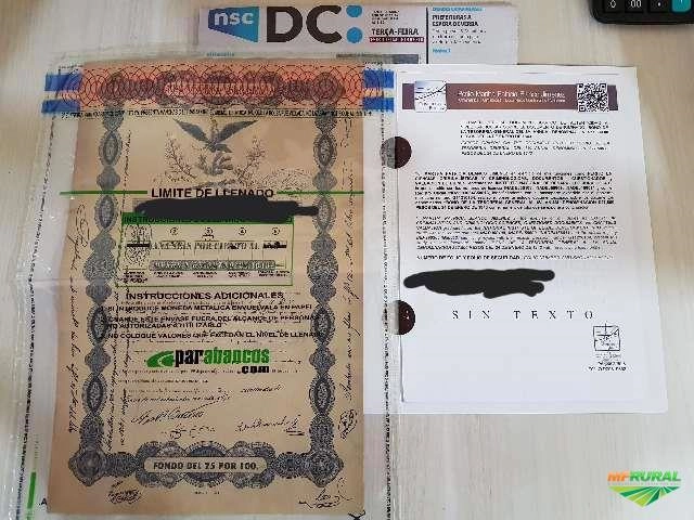 Black eagle Aguia negra Patricia Blanco Imagem Black eagle Aguia negra Patricia Blanco