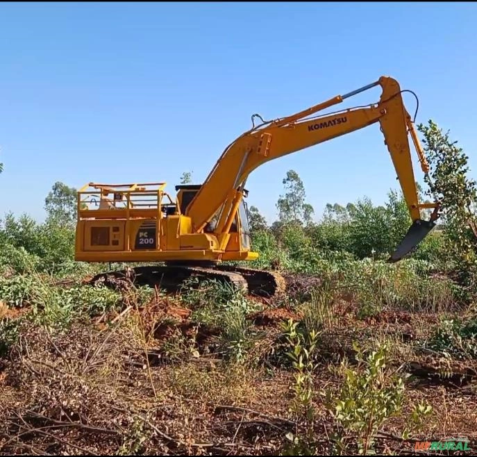 Serviços de destoca de eucalipto Imagem Serviços de destoca de eucalipto