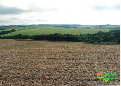 Área para arrendamento Imagem Área para arrendamento