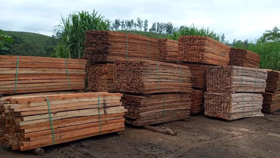 Vendo madeira serrada de eucalipto