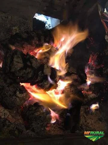 Briquetes para queima em geral