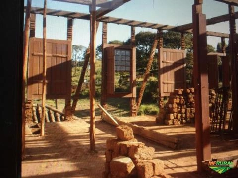 Peroba Rosa - Madeira de Lei Imagem Peroba Rosa - Madeira de Lei