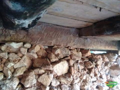 Imagem Peroba Rosa - Madeira de Lei Imagem Peroba Rosa - Madeira de Lei