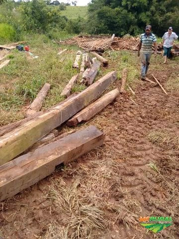 Imagem Peroba Rosa - Madeira de Lei Imagem Peroba Rosa - Madeira de Lei