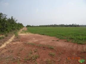 FAZENDA DE 10.000 HA  A VENDA EM SANTA CRUZ DO XINGU-MT.