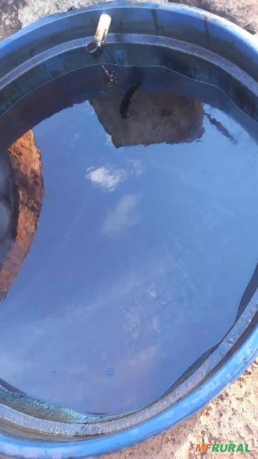 Extrato Pirolenhoso Imagem Extrato Pirolenhoso