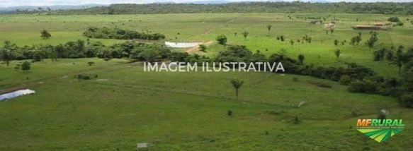Fazenda com 7.500 ha interior de Mato Grosso