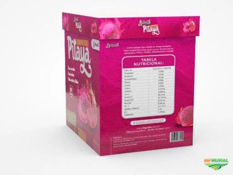 Imagem CREME DE PITAYA UMA DELÍCIA Imagem CREME DE PITAYA UMA DELÍCIA