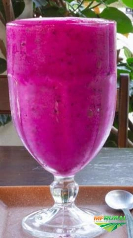 CREME DE PITAYA UMA DELÍCIA Imagem CREME DE PITAYA UMA DELÍCIA