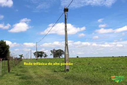 Sítio de 10 alqueires em Araçatuba