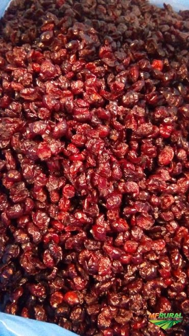 Imagem Cereja Imagem Cereja