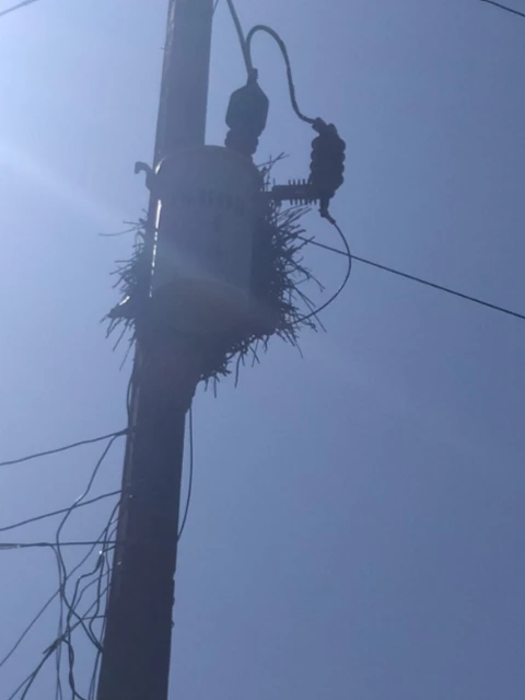 Fazenda para Leite em Piranga-MG