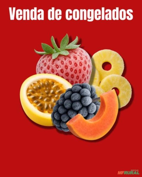 Amora Congelada Imagem Amora Congelada