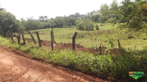 Sitio bem localizado em Barbosa Ferras Parana