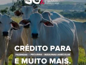 Crédito para Fazendas, Pecuária e Máquinas Agrícolas