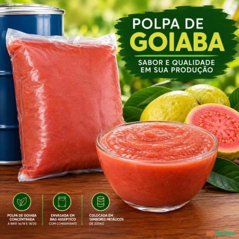 Polpa de Goiaba Concentrada Imagem Polpa de Goiaba Concentrada