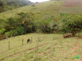 Sitio de 3 alqueires em Guapiara