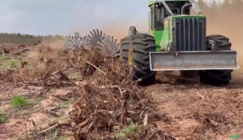 Imagem Serviço de Destoca Destocador Imagem Serviço de Destoca Destocador