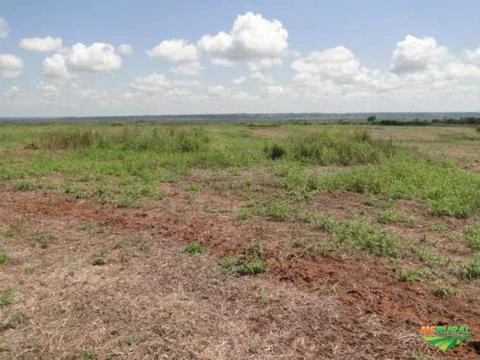 Arrendamento de Fazenda no Paraguay para Pecuária ( Criar, Recriar, Engordar 8.000 Cabeças de Gado )