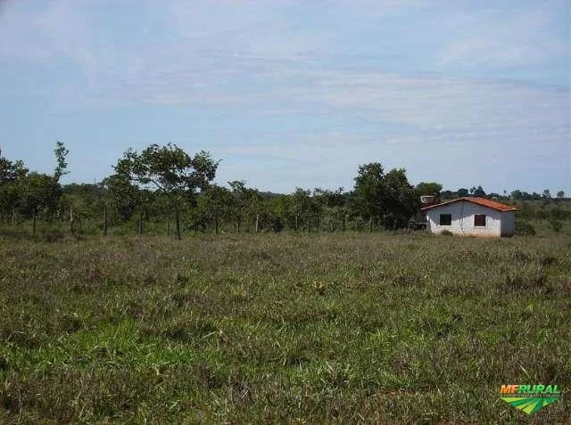 Fazenda em São Gonçalo do Abaeté, MG.