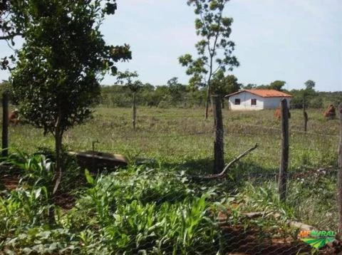 Fazenda em São Gonçalo do Abaeté, MG.