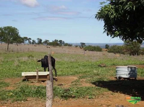 Fazenda em São Gonçalo do Abaeté, MG.