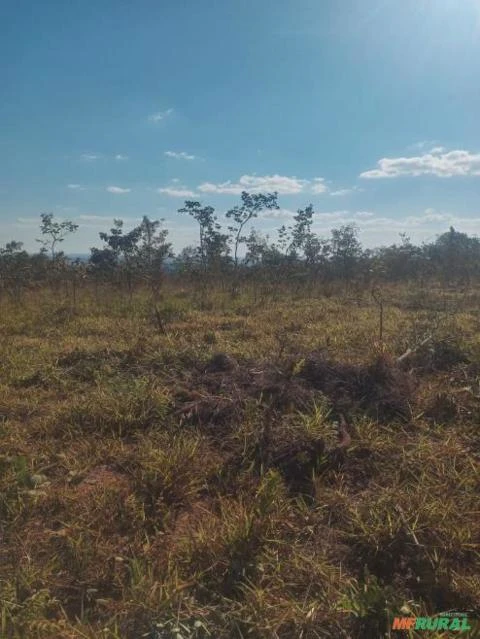 Fazenda em São Gonçalo do Abaeté, MG.