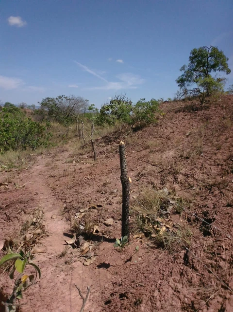 Fazenda em São Gonçalo do Abaeté, MG.