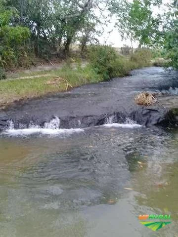 Fazenda no Mato Grosso do Sul Taboco MS