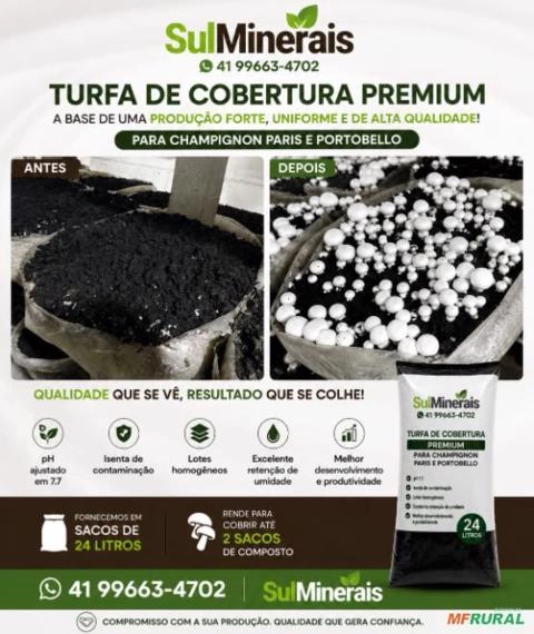 TERRA DE COBERTURA CHAMPIGNON Imagem TERRA DE COBERTURA CHAMPIGNON