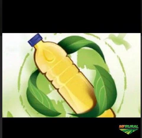 Compro óleo cozinha usado Imagem Compro óleo cozinha usado