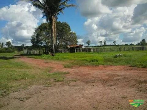 Vendo fazenda em São Domingos do Maranhão