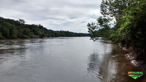 FAZENDA DE 408 HECTARES EM TOCANTINS À 100 KM DE PALMAS