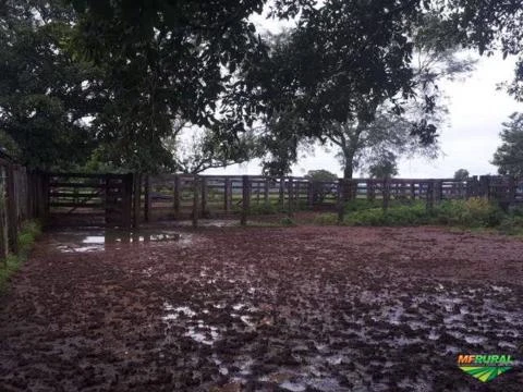 FAZENDA DE 408 HECTARES EM TOCANTINS À 100 KM DE PALMAS