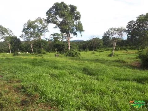 FAZENDA DE 408 HECTARES EM TOCANTINS À 100 KM DE PALMAS