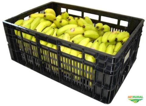 Caixas Plásticas para Frutas e Hortaliças