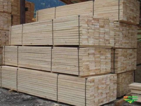 Compro Pinus Serrado / Compro Eucalipto Serrado