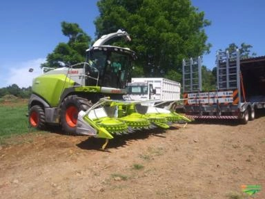 Prestação de serviço de corte de silagem Imagem Prestação de serviço de corte de silagem