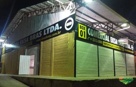 Imagem Alho direto da Argentina Imagem Alho direto da Argentina