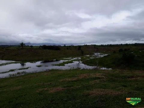 Fazenda em Cruzeiro do Sul - AC