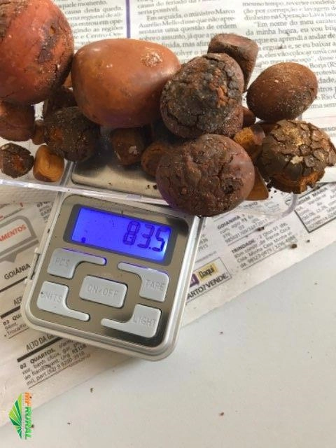 Imagem Compro Pedra de fel Imagem Compro Pedra de fel