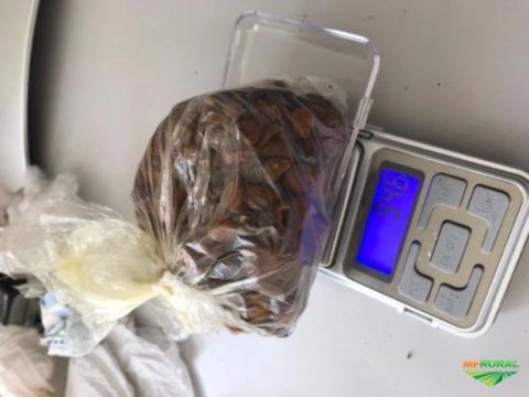 Imagem Compro Pedra de fel Imagem Compro Pedra de fel