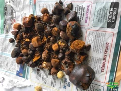 Imagem Compro Pedra de fel Imagem Compro Pedra de fel